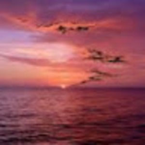 Meet your Posher, Jayden